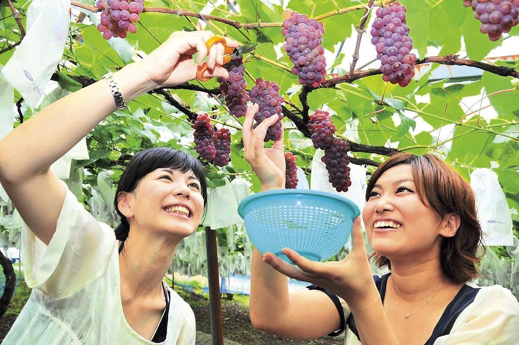 쇼렌지 레이크 호텔 나바리 외부 사진